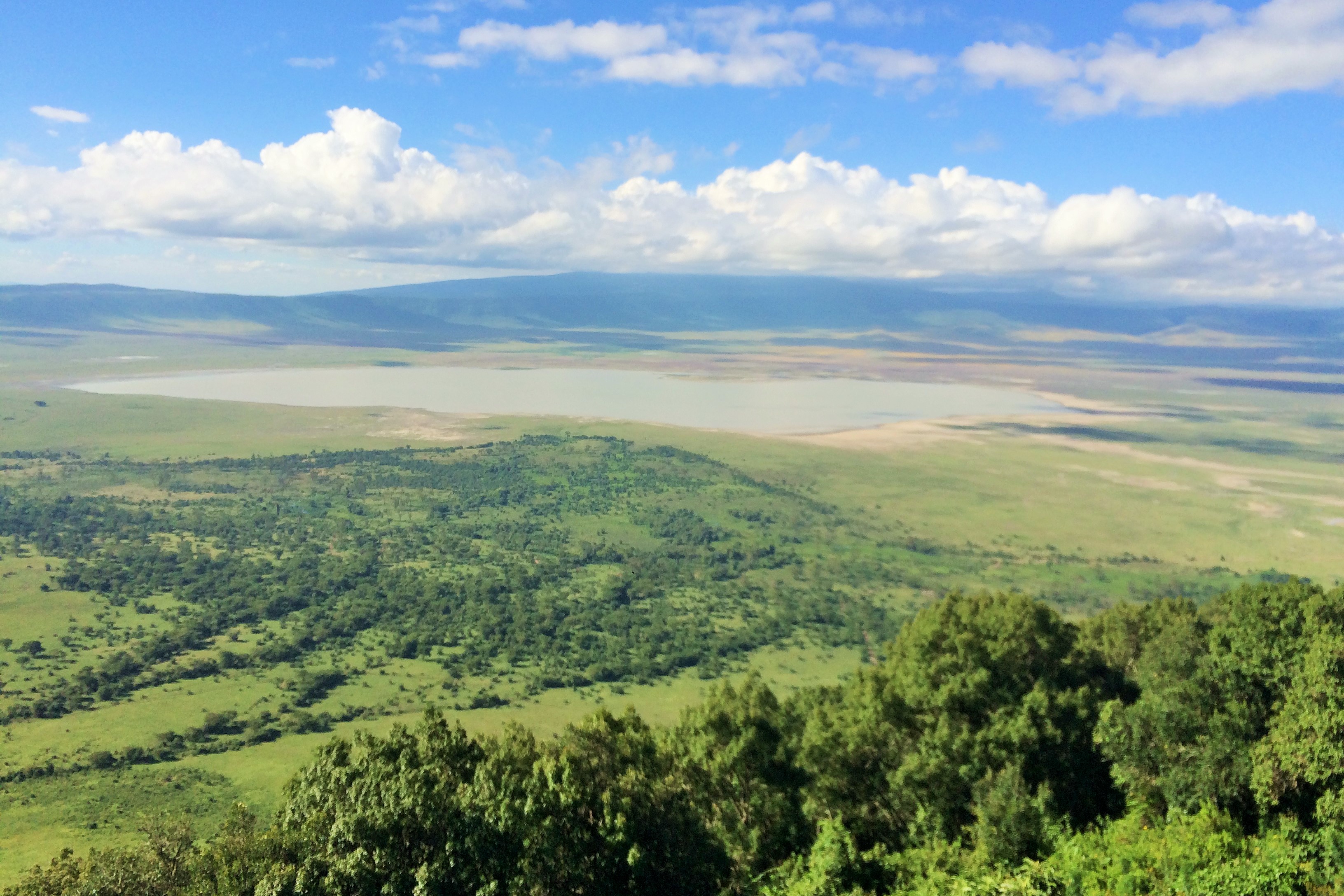Ngorongoro|ンゴロンゴロ