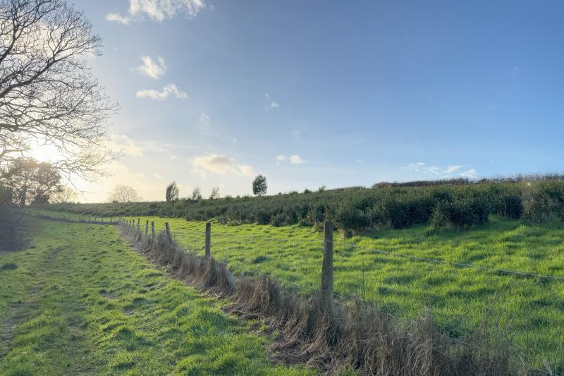 美しく手入れされています