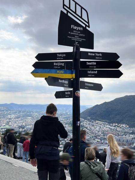 ベルゲンのフロイエン山からの眺め