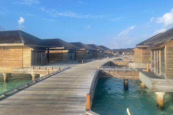デール島の静かな水上コテージたち