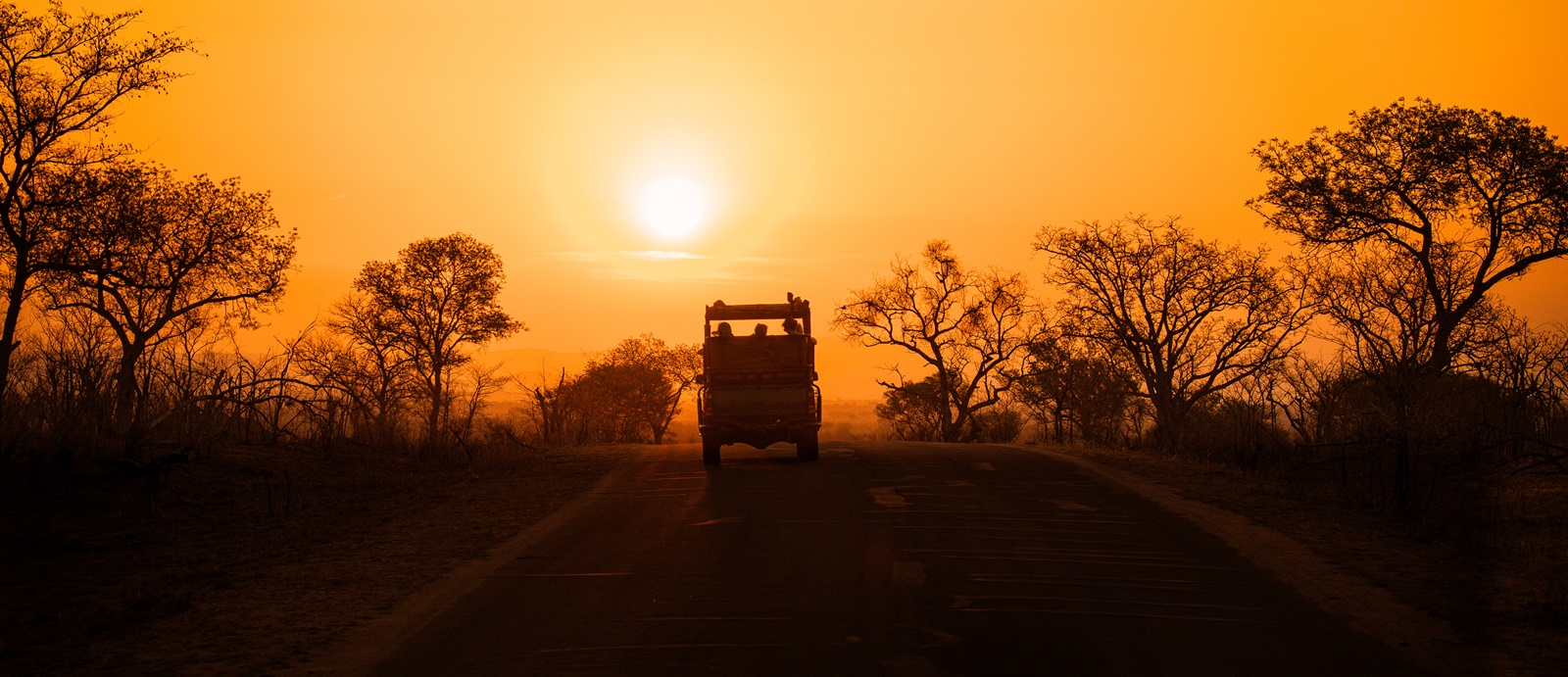 Kruger National Park TOPIC|クルーガー国立公園 トピックス