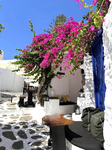 ミコノス島の街並みは写真でみたまんま！ 道が入り組んでて迷子になりそう！