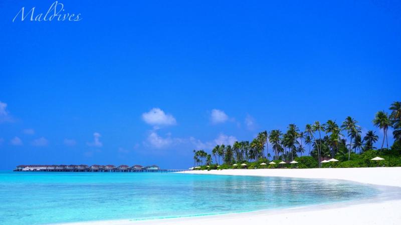 白い砂浜、青い海、南国の緑が絵になる風景