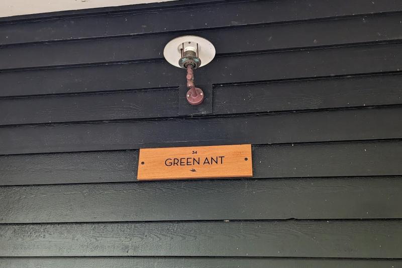 視察したお部屋の名前は「GREEN ANT」