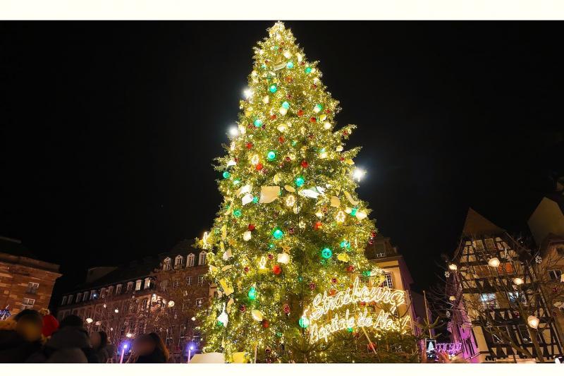 クレベール広場のクリスマスツリー