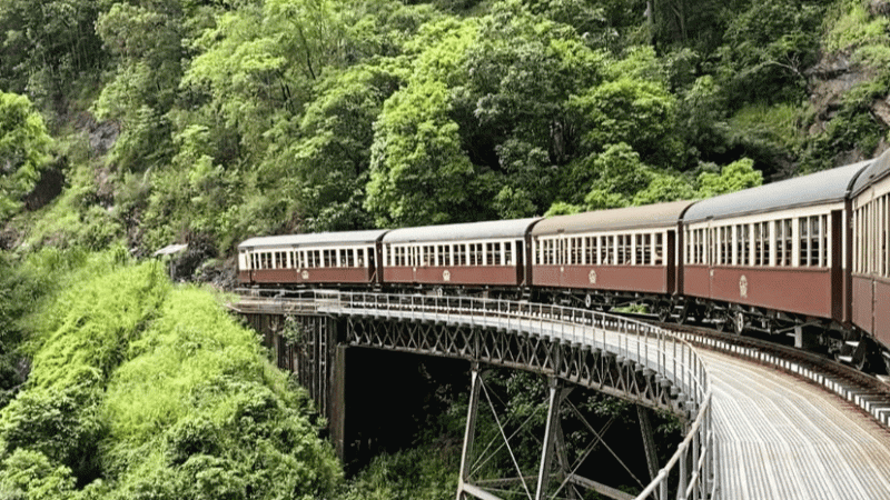 キュランダ高原列車ではちょうど真ん中の車両に乗れたので、列車の先頭と最後尾がカーブしていく様子がよく見えました