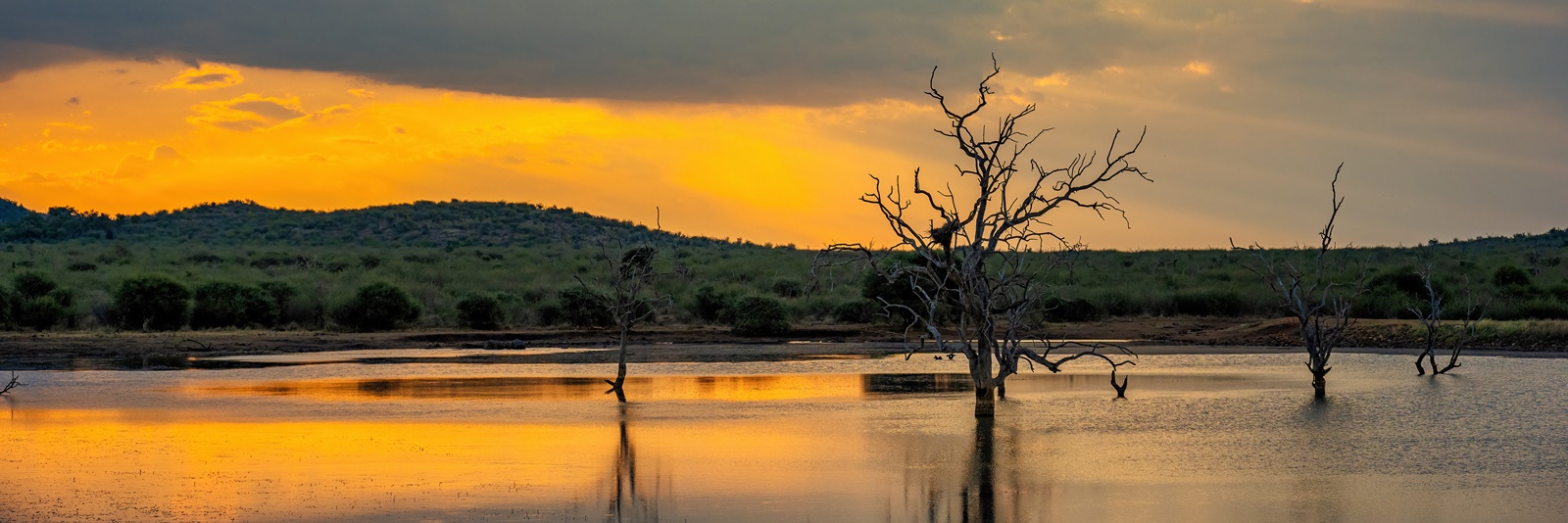 Madikwe Game Reserve REPORT|マディクウェ動物保護区 視察ブログ
