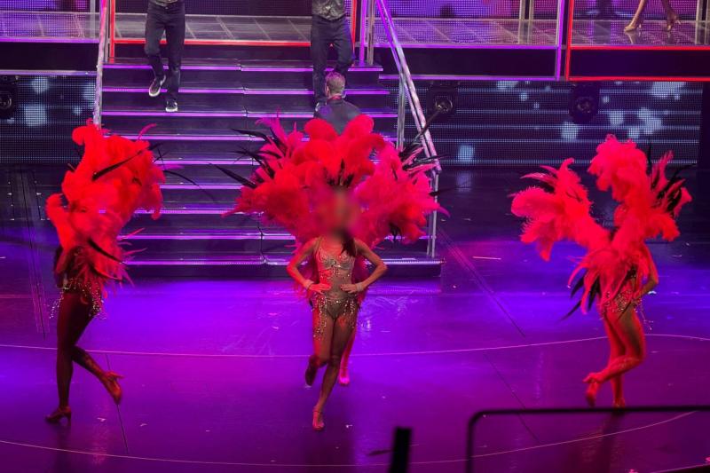 クルーズでは毎晩ショーがあります