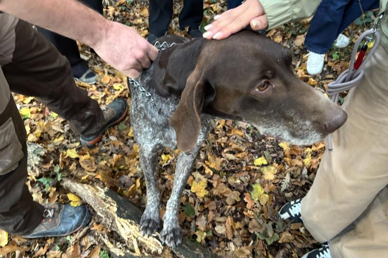 森の中でトリュフ探しスタート