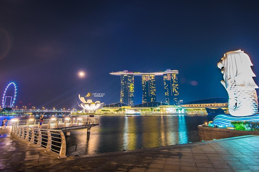 SINGAPORE CRUISE|シンガポール クルーズ
