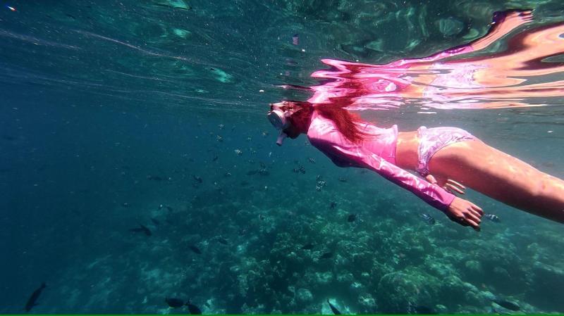 海の透明度、そして魚の多さにびっくりしました！
