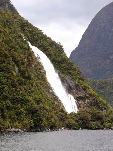 ミルフォードサウンドツアーに参加。大小様々な滝が流れ落ちる様が壮大でした