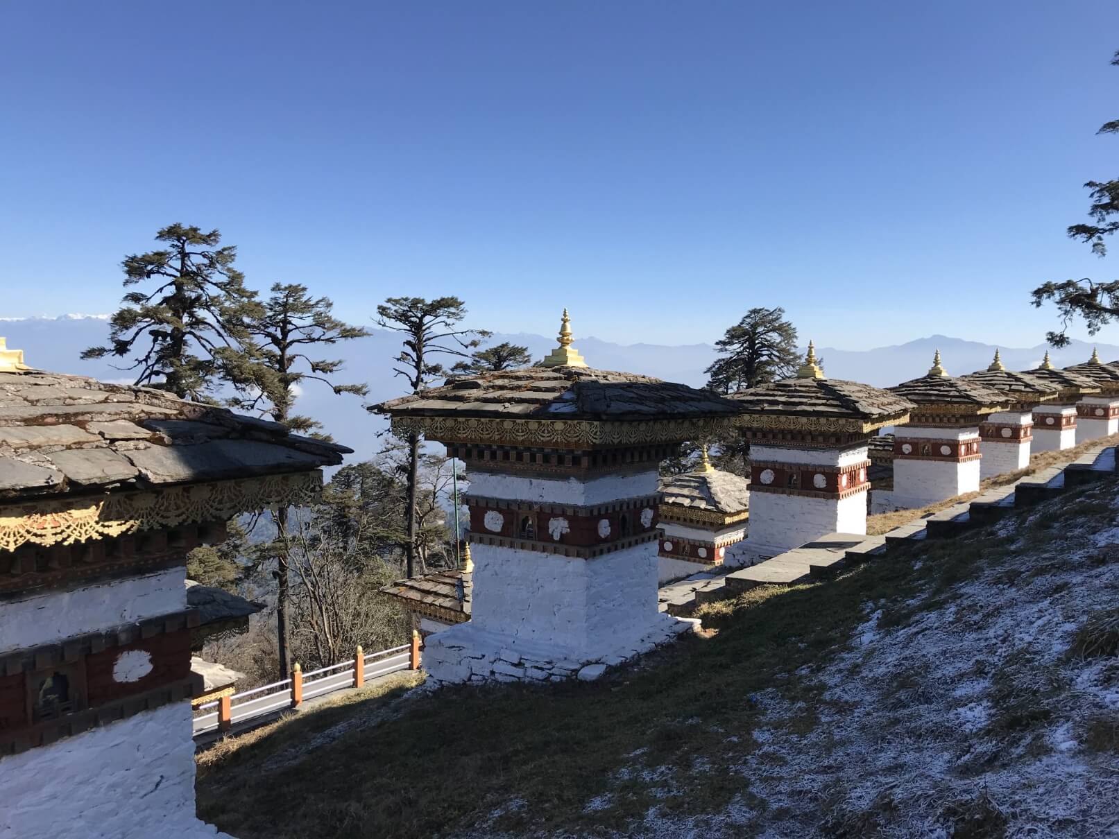 Thimphu REPORT|ティンプー 視察ブログ