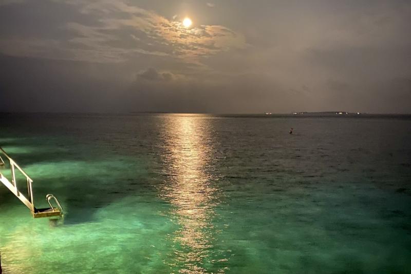 月明かりが映る夜の水面