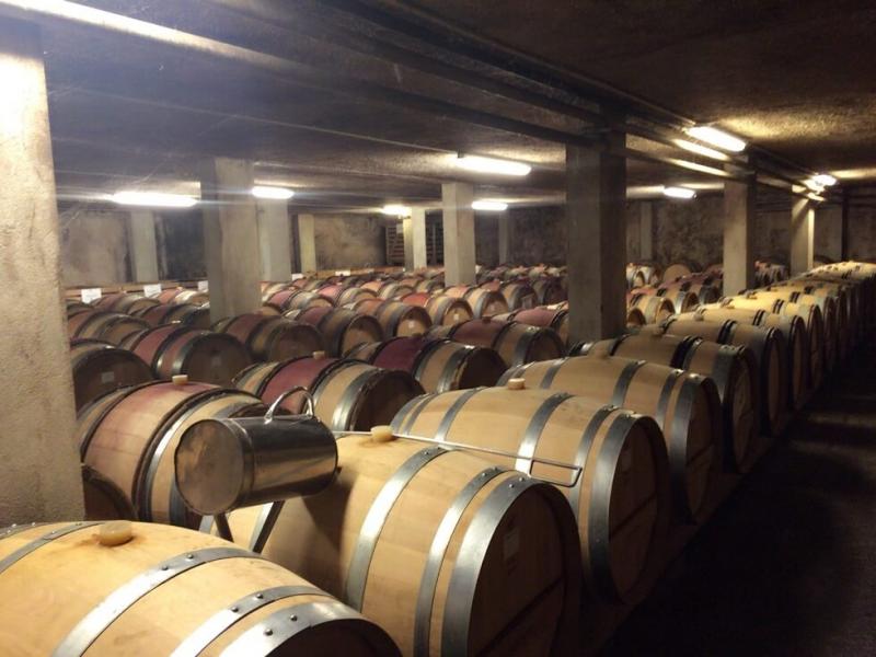赤と白が年度ごとに列で分けられています。ワイン樽に入る前からの製造工程を見て最後にワイン樽エリアに辿りつきます。