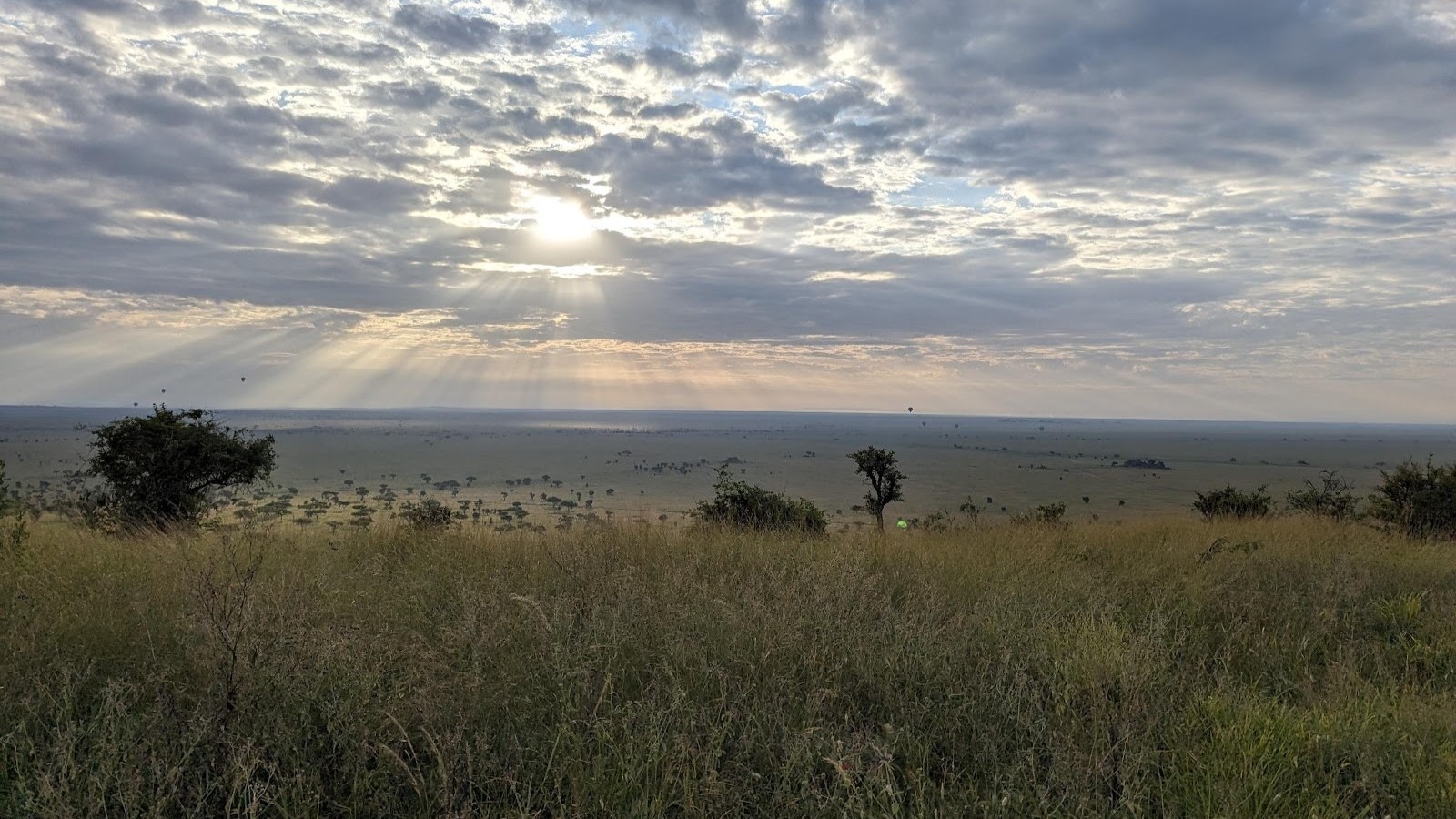 SERENGETI REPORT|セレンゲティ 視察ブログ