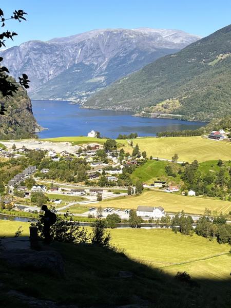 ステーガスタイン展望台に向かう途中、フロムにあるアウルランフィヨルド