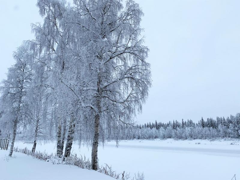 しんと静まりかえった真っ白な雪景色の中をガイドと一緒に歩きます