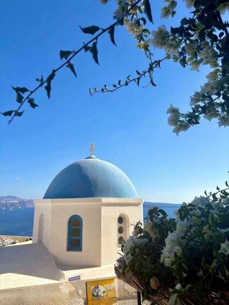 イアのブルードーム