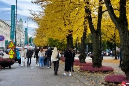 黄葉の美しい道を散策