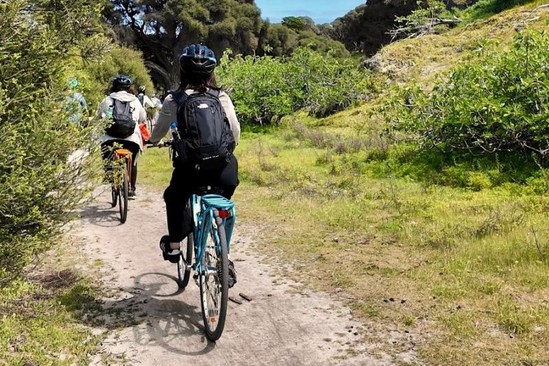 ロットネスト島内は自転車をレンタルしてサイクリングも楽しめます