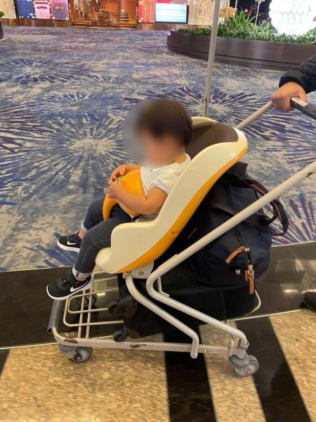 初めて乗ってルンルン、大人の荷物も乗せて移動できます