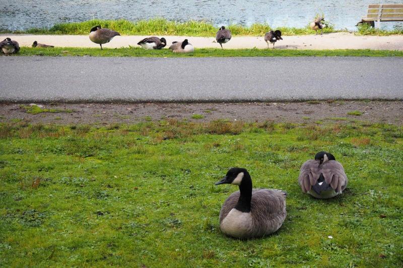スタンレーパーク