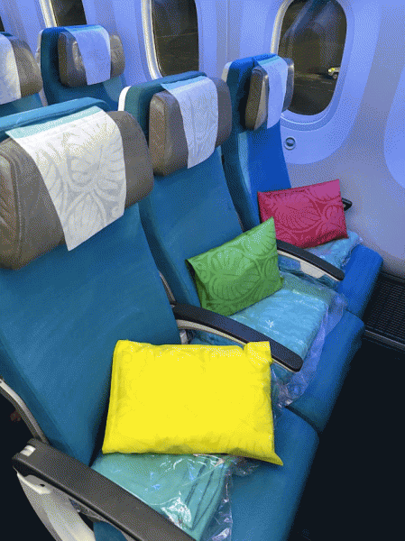 エア タヒチ ヌイの機内の様子