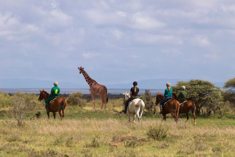 ホースサファリ　©Elewana Loisaba Tented Camp, Kenya by Mario Moreno