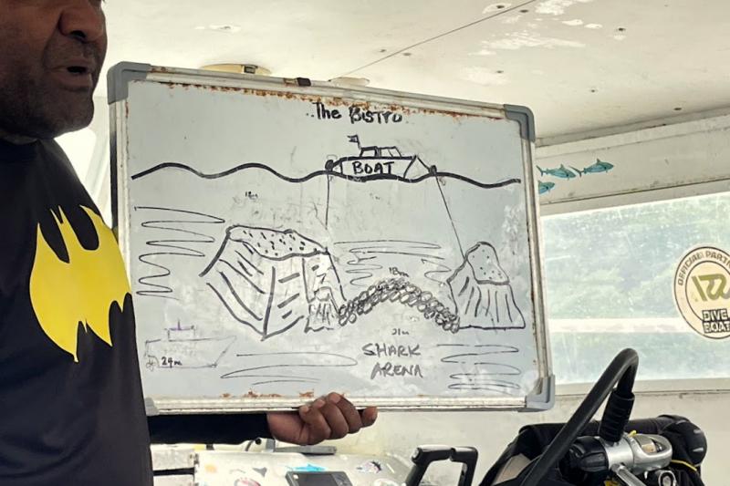 船内ではスタッフがていねいに注意事項を説明してくれるので安心です