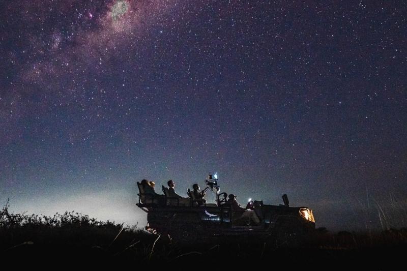 ナイトドライブ