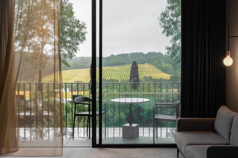 Vineyard
