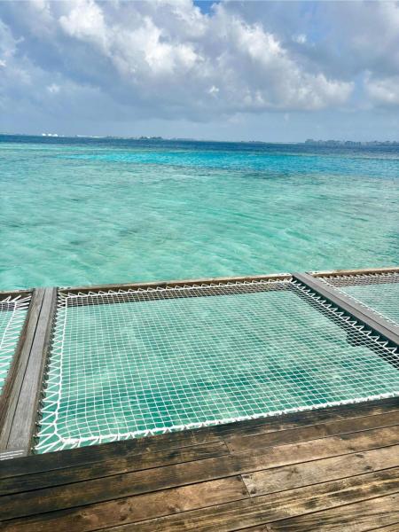 コクーンからの眺め