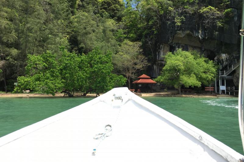 ボートでバングローブのジャングルをゆったり探検します