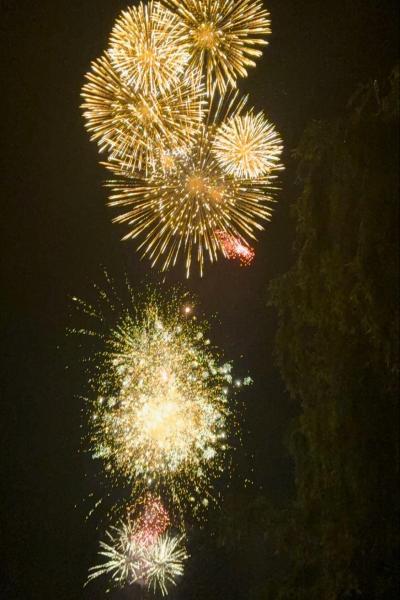 ワカティプ湖からカウントダウンの花火