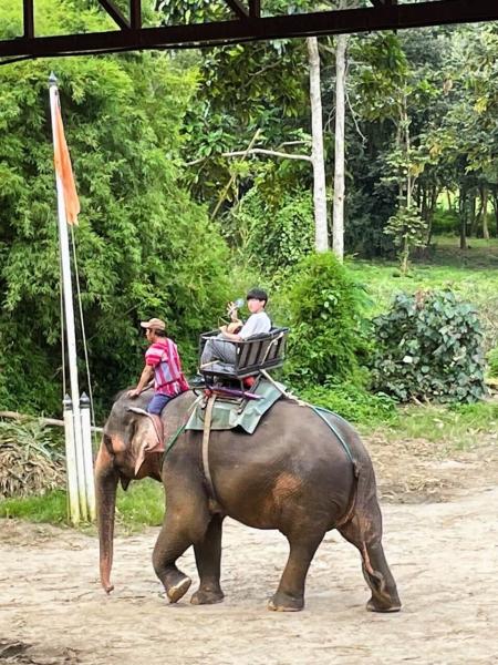 チェンマイ旅行でのひとコマ。ゾウ乗り体験