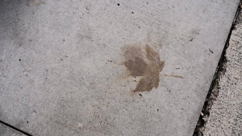 メープルリーフの跡が残ったアスファルト