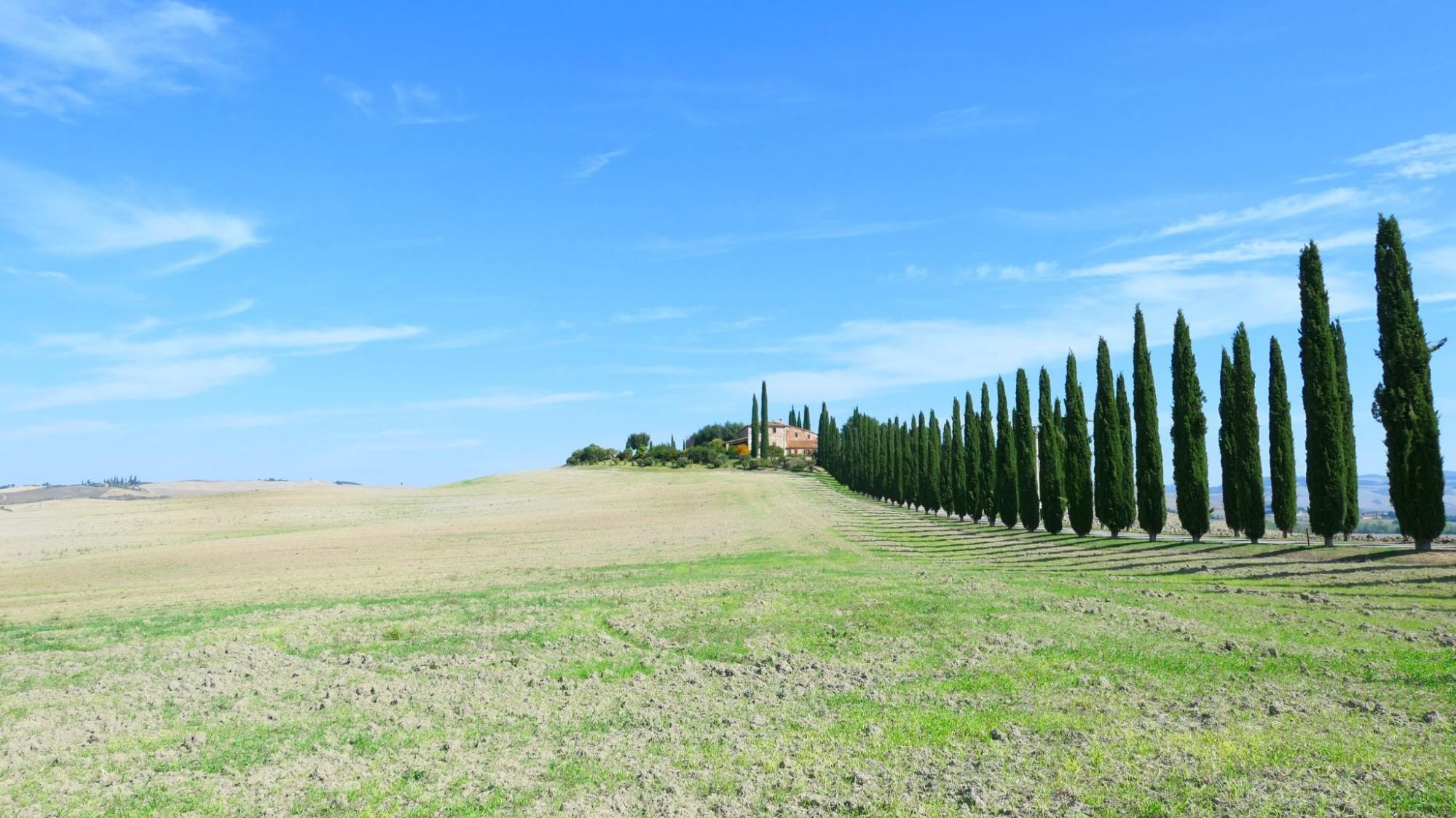 Toscana REPORT|トスカーナ地方 視察ブログ