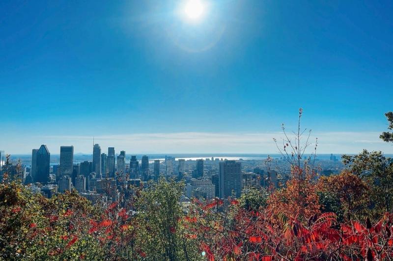 モン ロワイヤル公園の紅葉、眺望（モントリオール）