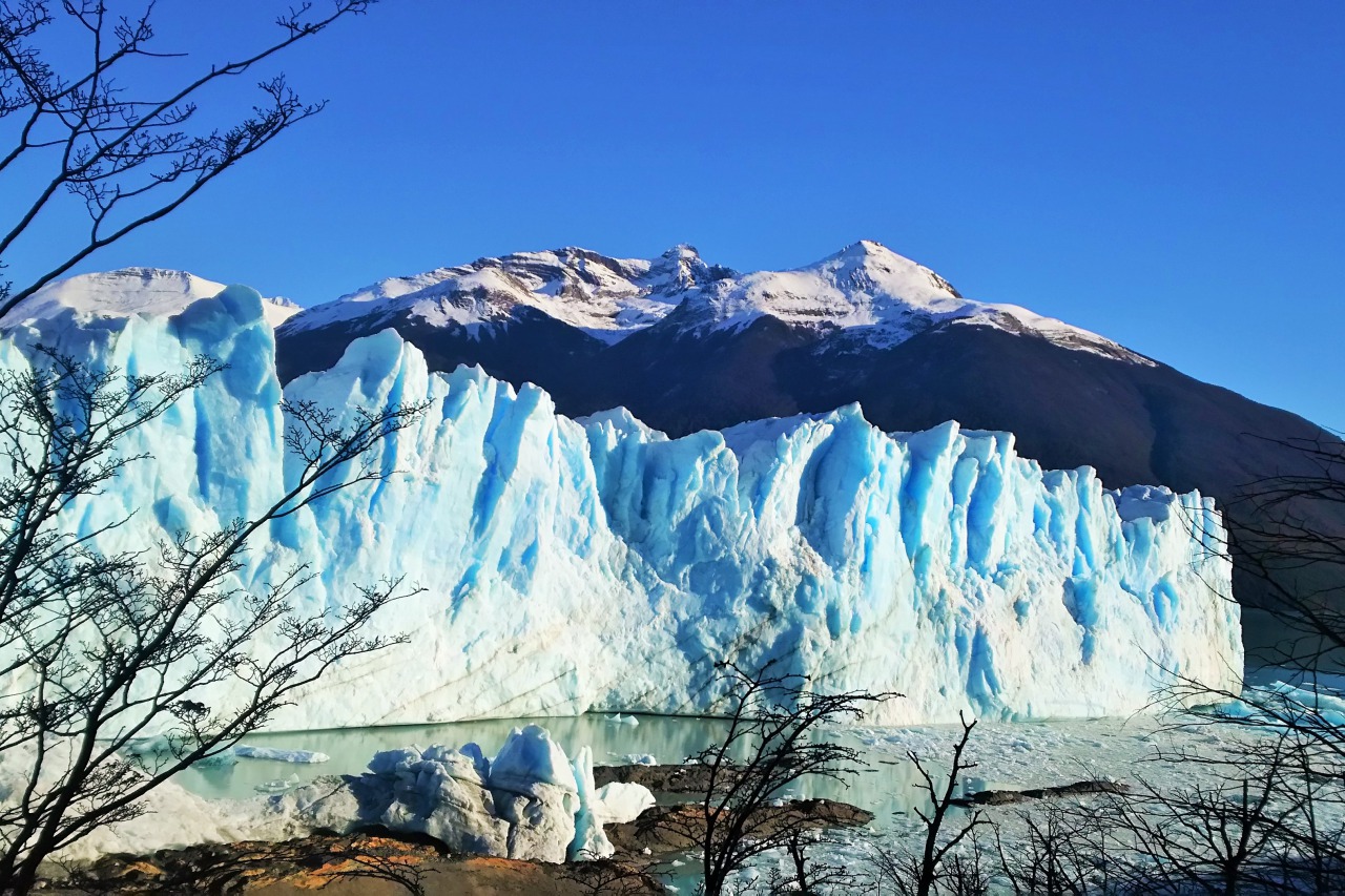 El Calafate REPORT|エルカラファテ 視察ブログ