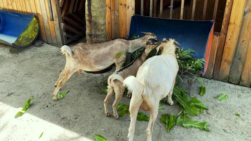 お子様も楽しめそう！