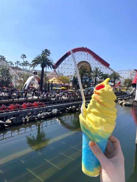 カリフォルニア ディズニーランド・リゾート