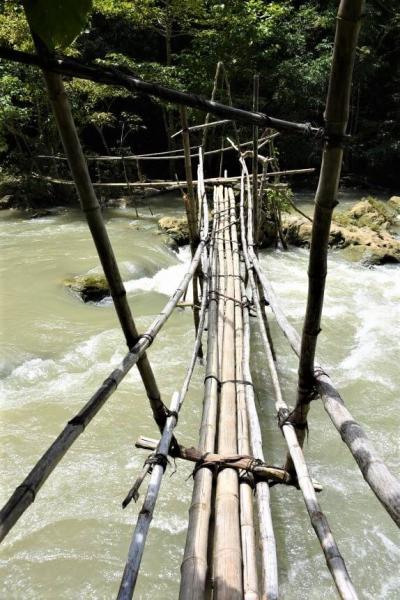 スリリングな竹の橋