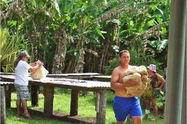 バニラが有名なタハア島。普段見ることができないバニラの栽培風景を見学したり、高品質なバニラグッズが購入できます。料理好きの方へのお土産にもいいですね。