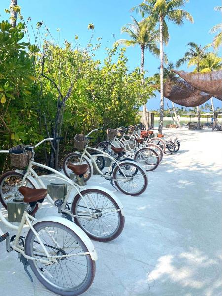 自転車と砂浜、海とのコラボレーションが素敵です
