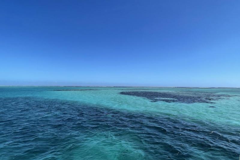 美しい周囲の海