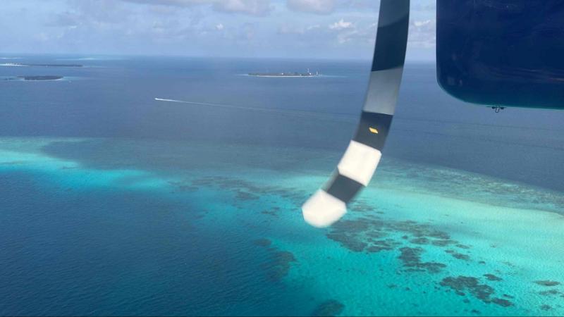水上飛行機からの景色
