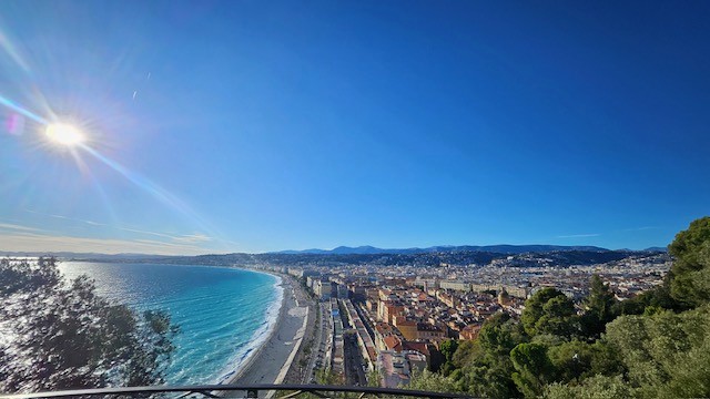 城跡公園の上からの景色