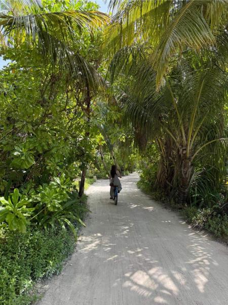 自然いっぱいのリゾート内を自転車やバギーで移動するのも、気持ちが良かったです