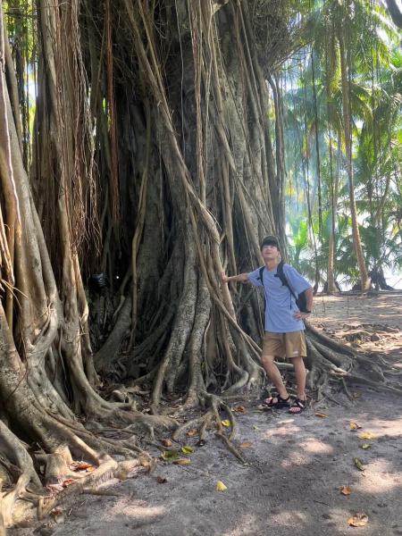 ローカルアイランドツアー。樹齢100年を超えるバニヤンの木でパシャリ